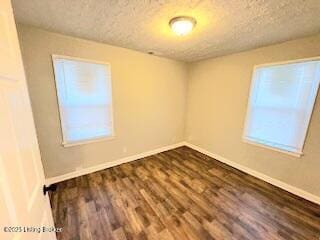 empty room with a wealth of natural light, dark hardwood / wood-style flooring, and a textured ceiling