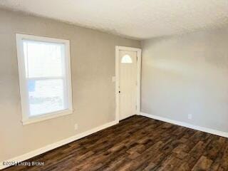 entryway featuring dark hardwood / wood-style flooring and a wealth of natural light