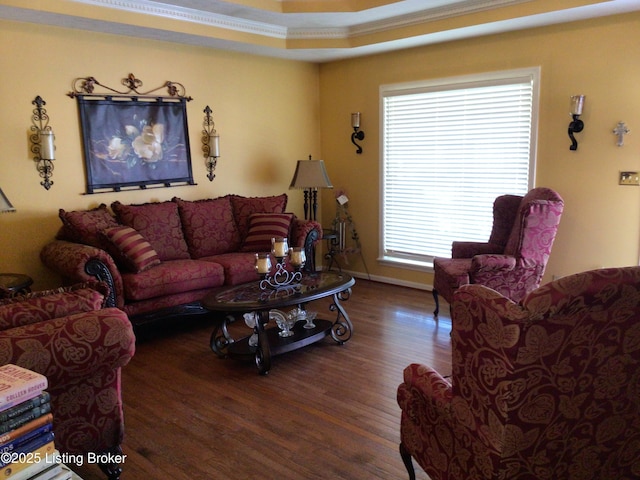 living room with dark wood-type flooring and a raised ceiling