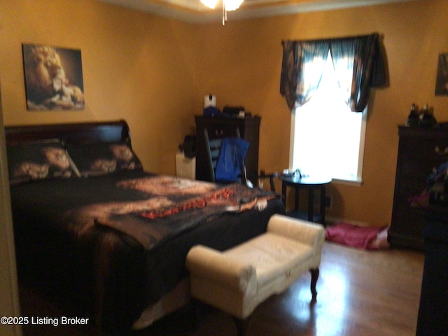 bedroom featuring wood-type flooring