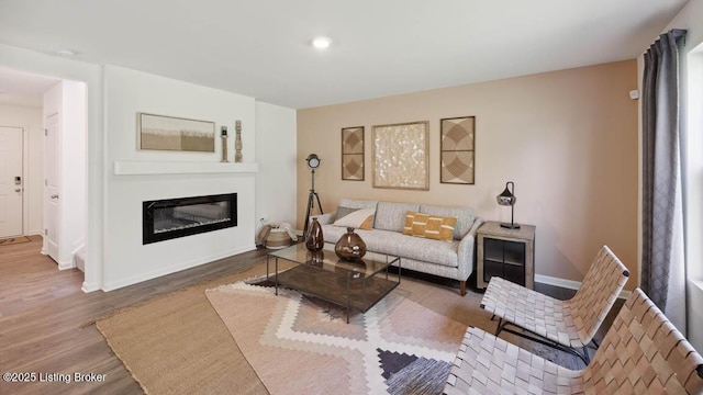 living room with wood-type flooring