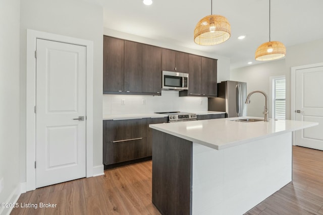 kitchen with light wood-type flooring, a sink, appliances with stainless steel finishes, light countertops, and dark brown cabinets