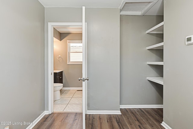 spacious closet featuring wood-type flooring