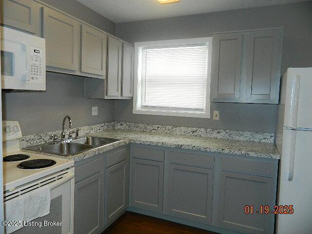 kitchen with sink, gray cabinetry, and white appliances