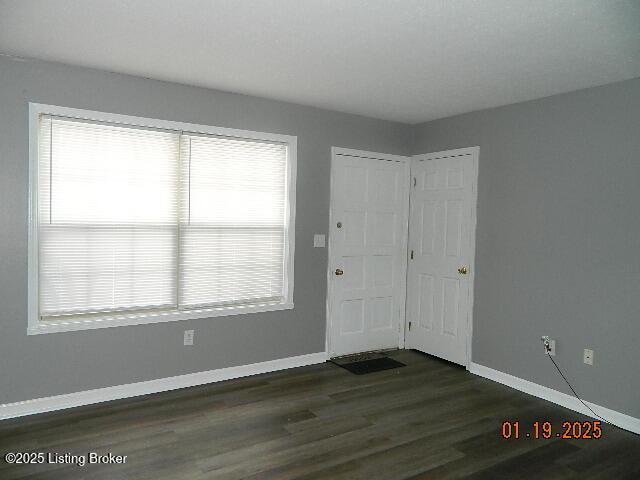 entryway featuring dark wood-type flooring