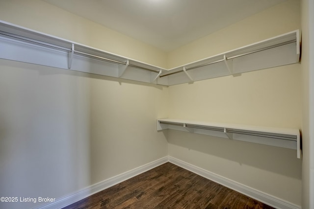 walk in closet featuring dark wood-style floors