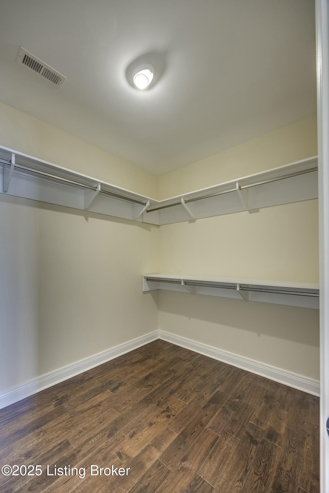 walk in closet with dark wood-type flooring and visible vents