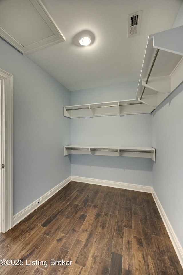 walk in closet with dark wood-type flooring, visible vents, and attic access