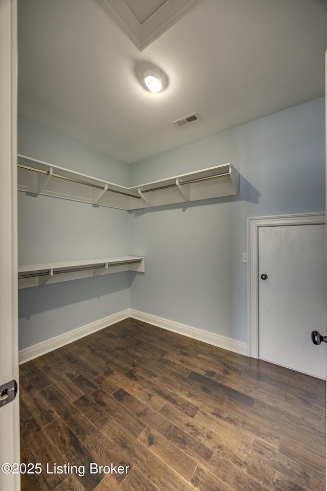 walk in closet with dark wood-type flooring and visible vents