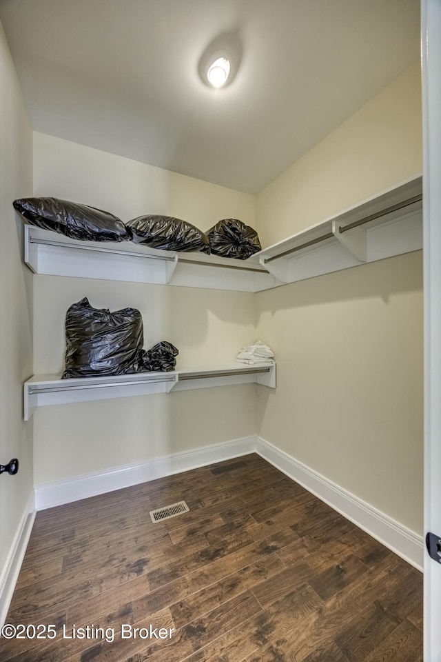 spacious closet with visible vents and dark wood-style flooring