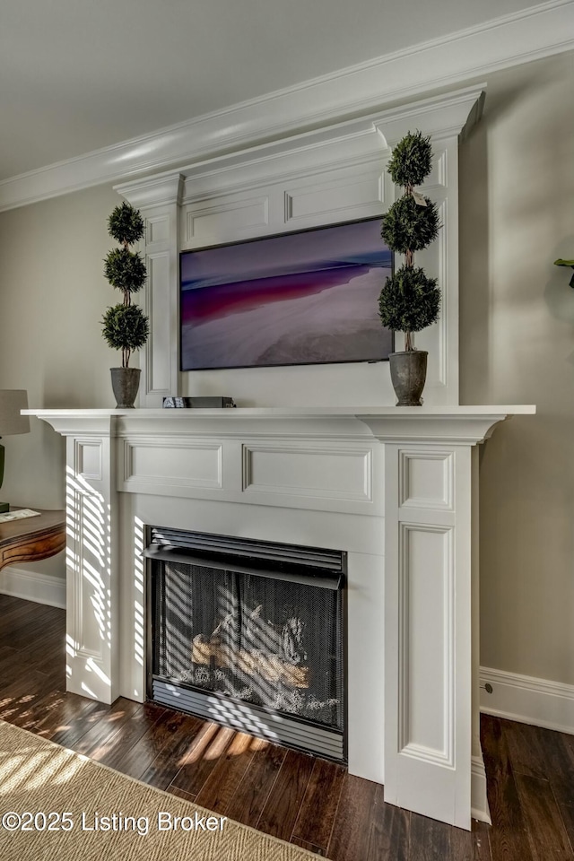 details featuring ornamental molding, a fireplace, baseboards, and wood finished floors