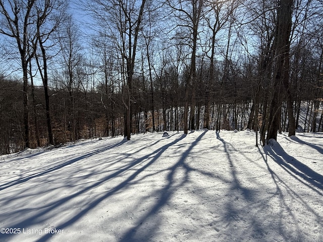 view of yard covered in snow