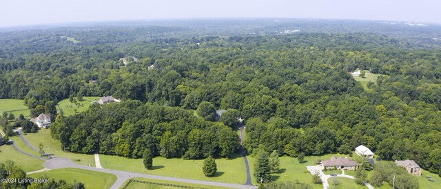 2408 Running Brook Trl, Fisherville, KY 40023 - photo 72