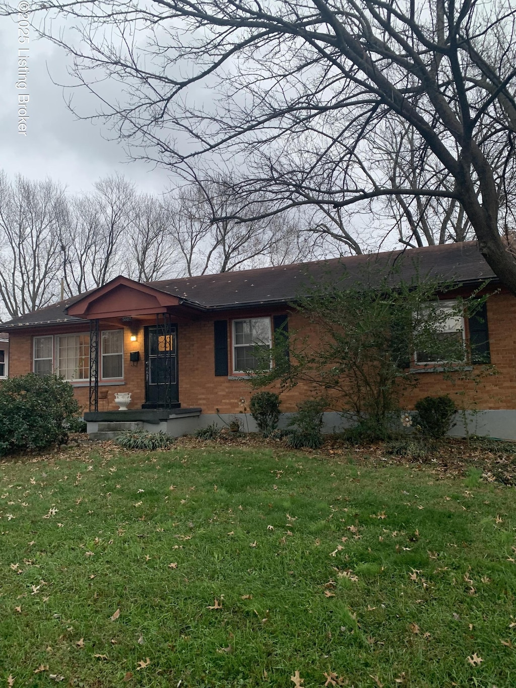 view of front of house with a front yard