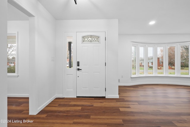 foyer with dark hardwood / wood-style flooring