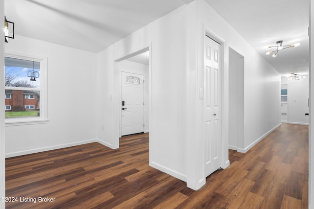 corridor featuring dark wood-type flooring and a chandelier