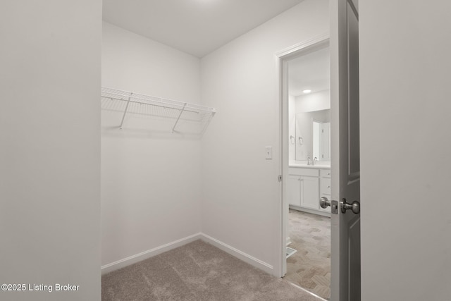 walk in closet featuring a sink and light colored carpet