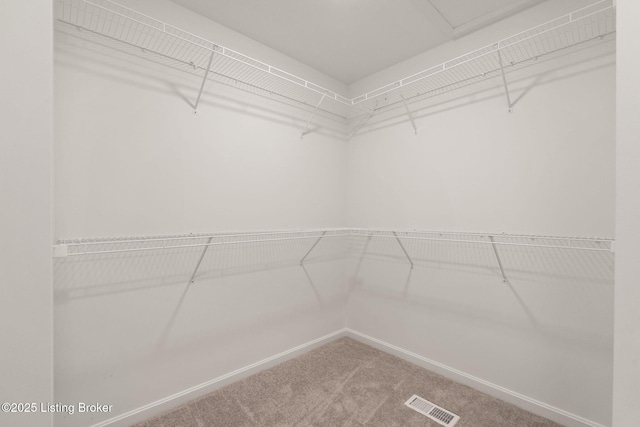 walk in closet featuring carpet and visible vents