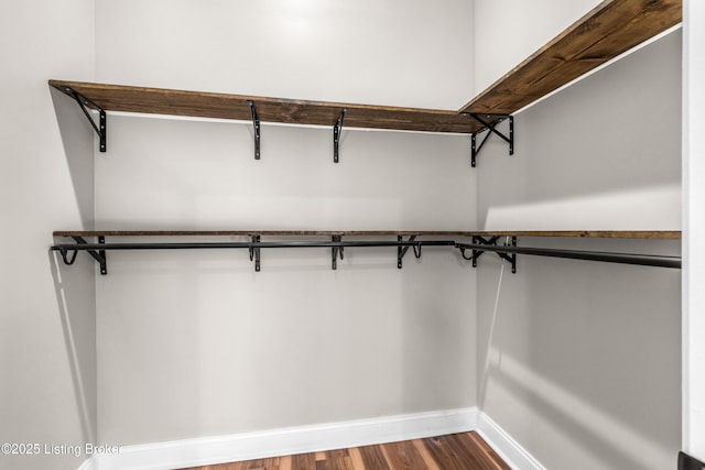 walk in closet with hardwood / wood-style flooring