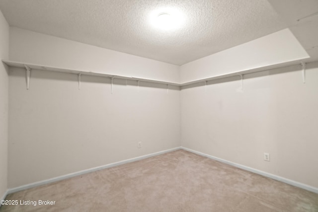 walk in closet featuring light carpet