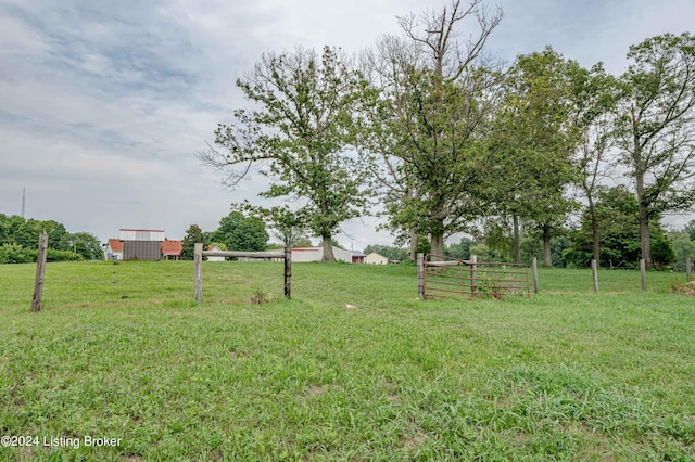 view of yard featuring a rural view