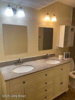 bathroom featuring vanity, a textured ceiling, and toilet