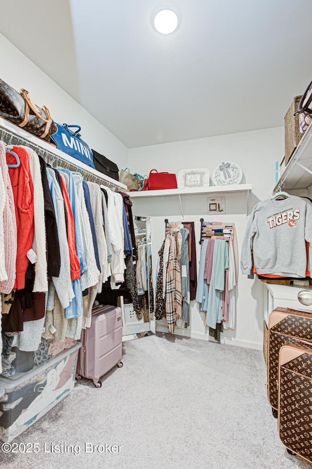 spacious closet featuring carpet flooring