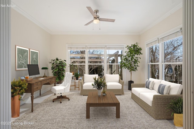 interior space featuring crown molding and ceiling fan