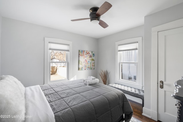 bedroom featuring dark hardwood / wood-style floors and ceiling fan