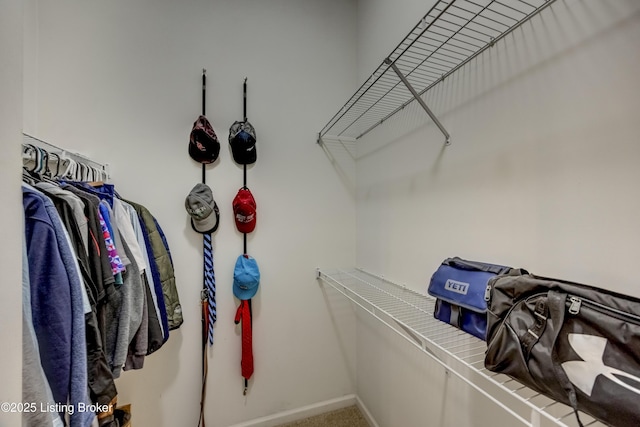 spacious closet featuring carpet flooring