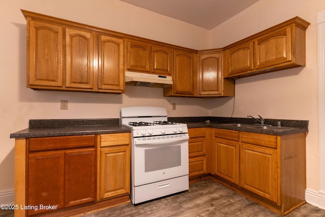 kitchen featuring white gas stove, sink, and dark hardwood / wood-style flooring