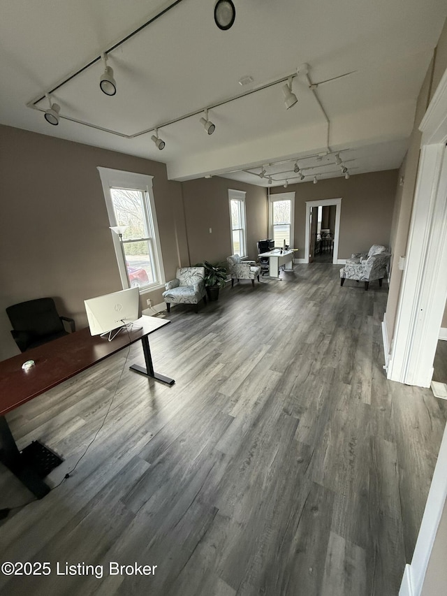 misc room featuring rail lighting, wood finished floors, and a wealth of natural light