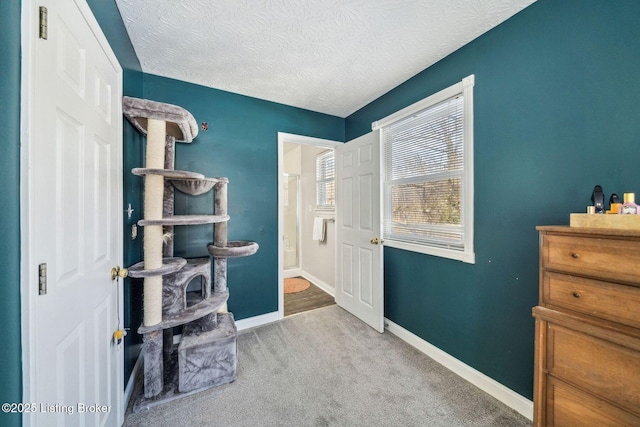 interior space featuring carpet flooring and a textured ceiling