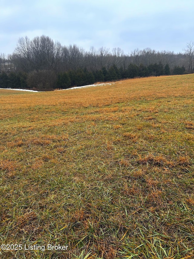 TRACT1B Ashes Creek Ln, Bloomfield KY, 40008 land for sale