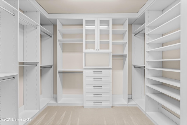 spacious closet featuring light carpet