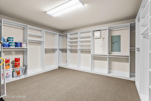 spacious closet with carpet and electric panel