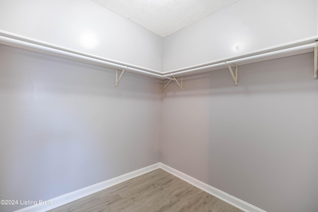 spacious closet featuring hardwood / wood-style floors