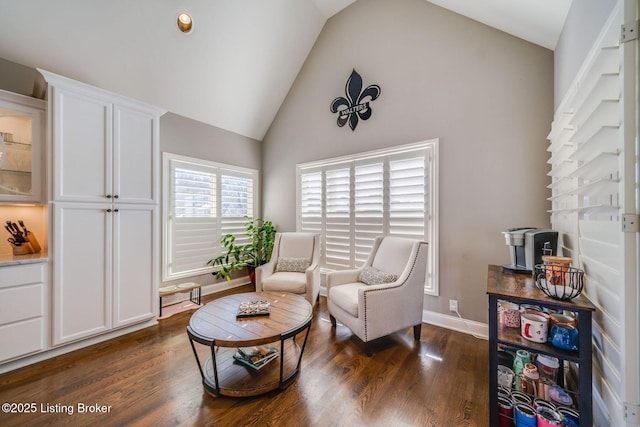 living area with high vaulted ceiling and dark hardwood / wood-style flooring