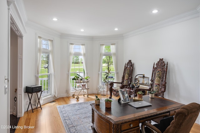 office featuring ornamental molding and light hardwood / wood-style floors