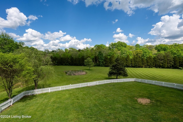 view of yard with a rural view