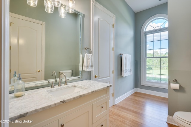 bathroom featuring toilet, wood-type flooring, and vanity