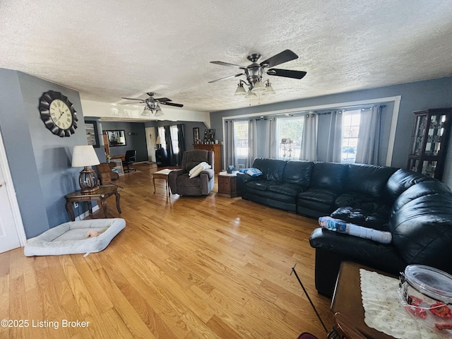 living room featuring hardwood / wood-style floors, plenty of natural light, and a textured ceiling