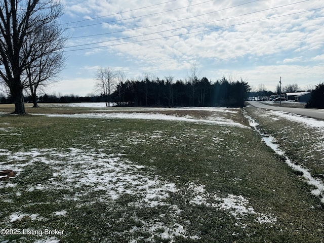 view of snowy yard