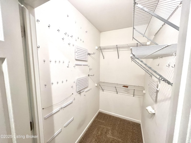 spacious closet with dark carpet