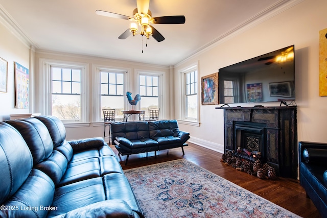 living room featuring crown molding, plenty of natural light, dark hardwood / wood-style floors, and ceiling fan