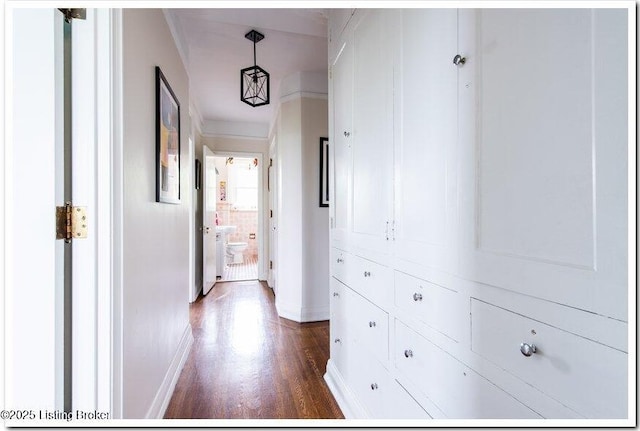 corridor featuring dark hardwood / wood-style flooring