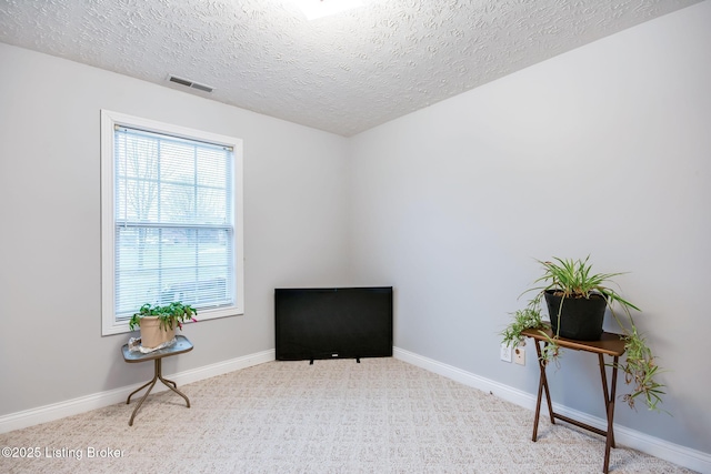 sitting room featuring a textured ceiling and light carpet