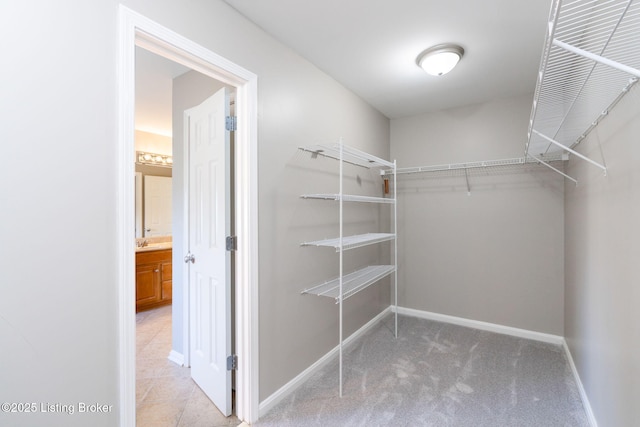 walk in closet with light colored carpet