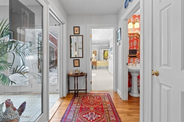 foyer entrance featuring wood finished floors