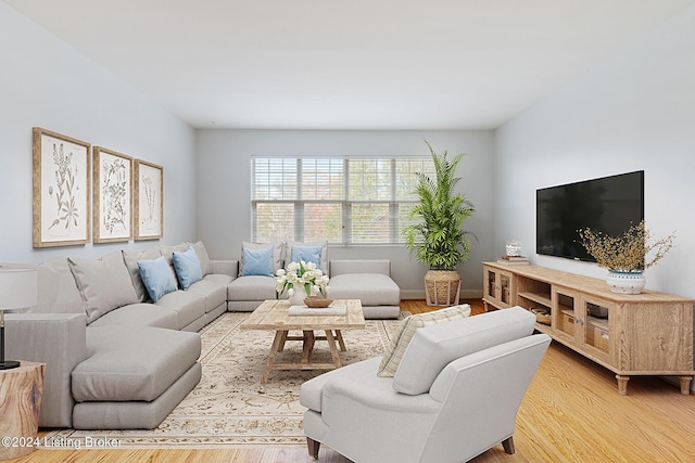 living room with hardwood / wood-style floors